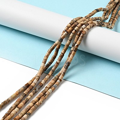 Natural Picture Jasper Beads Strands G-I326-09-1