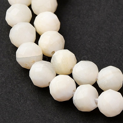 Shell Beads Strands SSHEL-E571-38-4mm-01-1