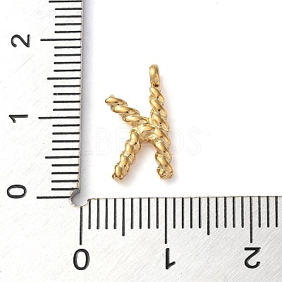 316 Surgical Stainless Steel Pendants & Charms STAS-D031-01K-1