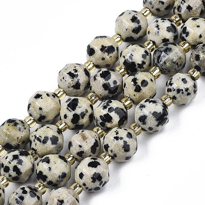 Natural Dalmatian Jasper Beads Strands X-G-N326-100-02-1