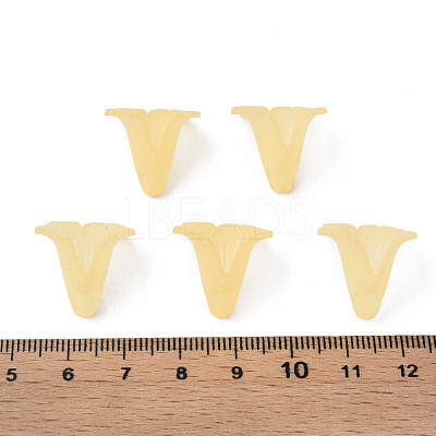 Transparent Acrylic Beads PL551-C30-1