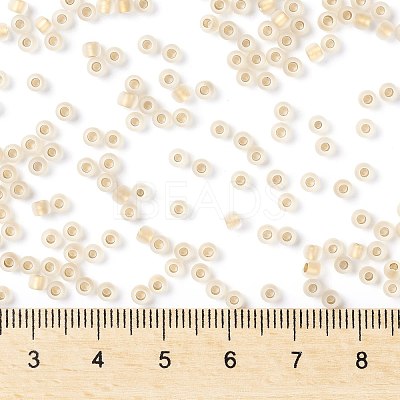 TOHO Round Seed Beads SEED-JPTR08-0989FM-1