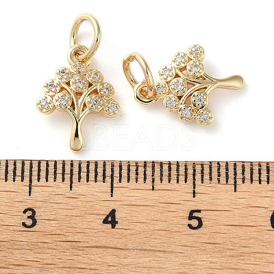 Rack Plating Brass Micro Pave Clear Cubic Zirconia Charms KK-D097-05G-1