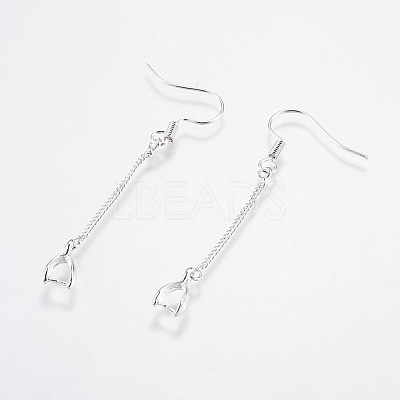 Brass Earring Hooks LS-KK-I618-26S-RS-1