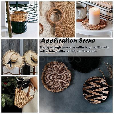 Natural Raffia Ribbon X-OCOR-WH0031-E01-1