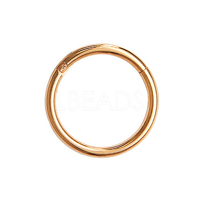 316L Surgical Stainless Steel Hoop Cartilage Earrings WGB51CA-03-1