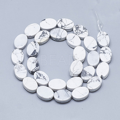 Natural Howlite Beads Strands G-T122-04O-1