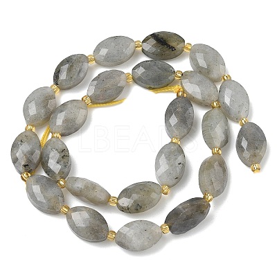 Natural Labradorite Beads Strands G-A295-A01-01-1