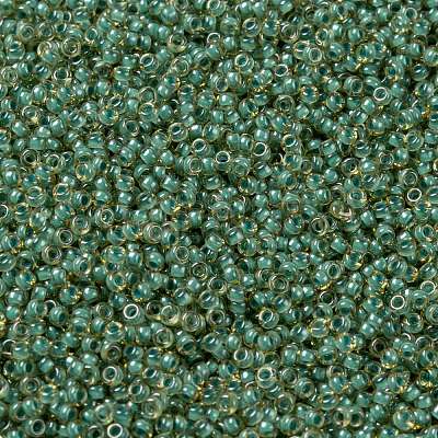MIYUKI Round Rocailles Beads SEED-JP0010-RR0374-1