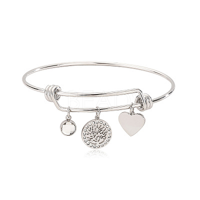 Stainless Steel Micro Pave Cubic Zirconia Charm Bangles PW-WG9247A-02-1