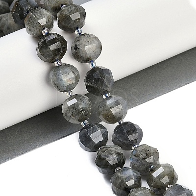 Natural Labradorite Beads Strands G-G182-B02-07-1