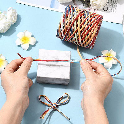 Segment Dyed Raffia Paper Cords for DIY Craft OCOR-WH20020-27H-1