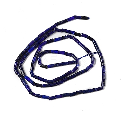 Natural Lapis Lazuli Beads Strands G-U013-A01-01-1