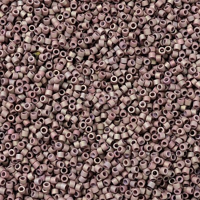 MIYUKI Delica Beads SEED-X0054-DB1061-1