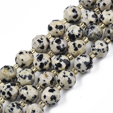 Natural Dalmatian Jasper Beads Strands X-G-N326-100-02-1