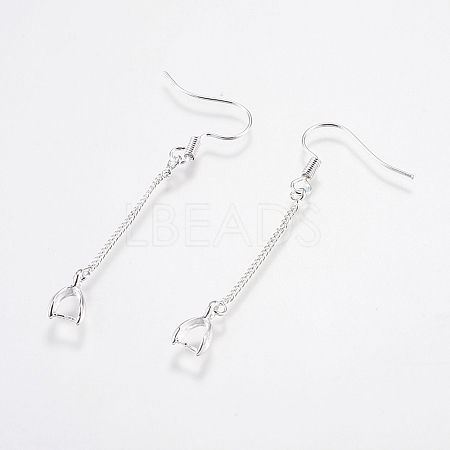 Brass Earring Hooks LS-KK-I618-26S-RS-1