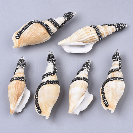 Natural Conch Shell Big Pendants SSHEL-T014-01-1