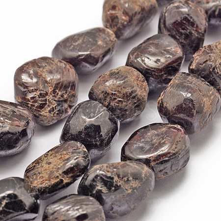 Natural Garnet Beads Strands G-P301-15-1