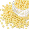 6/0 Glass Seed Beads SEED-T005-14-B23-1
