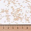 TOHO Round Beads X-SEED-TR11-0751-4