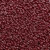 MIYUKI Round Rocailles Beads SEED-G009-RR0425-3