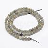 Natural Labradorite Beads Strands G-P322-29-4mm-2