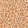 Baking Paint Glass Seed Beads SEED-T006-03E-2