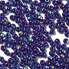 Glass Seed Beads SEED-H002-A-A619-3