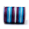 Segment Dyed Polyester Thread NWIR-I013-C-13-3