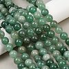 Natural Green Aventurine Beads Strands G-Q462-12mm-20-7
