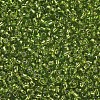 12/0 Glass Seed Beads SEED-A005-2mm-24-2