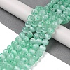Natural Selenite Beads Strands G-Q162-A01-01C-04-2