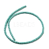 Dyed Synthetic Turquoise Beads Strands G-G075-A02-01-2