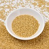 MIYUKI Delica Beads X-SEED-J020-DB2186-2