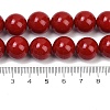 Shell Pearl Beads Strands BSHE-K015-14mm-01-4