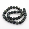 Frosted Natural Kambaba Jasper Beads Strands X-G-M272-14-6mm-2