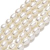 Natural Cultured Freshwater Pearl Beads Strands PEAR-J006-15A-01-1