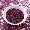 MIYUKI Delica Beads X-SEED-J020-DB2161-2