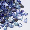 Dyed Natural Spiral Shell Chips Beads SHEL-A003-B01-1