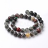 Natural African Bloodstone Beads Strands G-L383-06-12mm-2