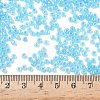 Glass Seed Beads SEED-A011-3mm-143-4
