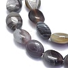 Natural Botswana Agate Beads Strands G-K310-E01-3