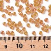 8/0 Round Glass Seed Beads SEED-US0003-3mm-169-3