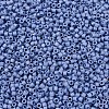 MIYUKI Delica Beads X-SEED-J020-DB2318-3