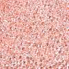 6/0 Baking Paint Transparent Fringe Glass Seed Beads SEED-N006-06E-3