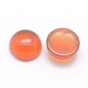 Natural Carnelian Cabochons X-G-P393-R18-6mm-2