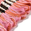 10 Skeins 6-Ply Polyester Embroidery Floss OCOR-K006-A31-2