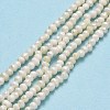 Natural Cultured Freshwater Pearl Beads Strands PEAR-F018-12-2