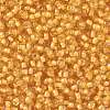 TOHO 8/0 Round Beads X-SEED-TR08-0949-2