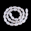 Natural Agate Beads Strands G-N362-18A-10-3